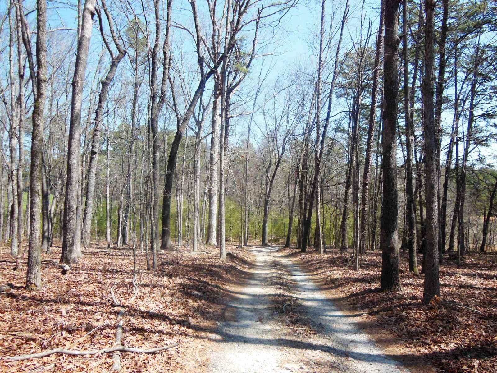369 Shady Ln, Toccoa, GA 30577 photo 3