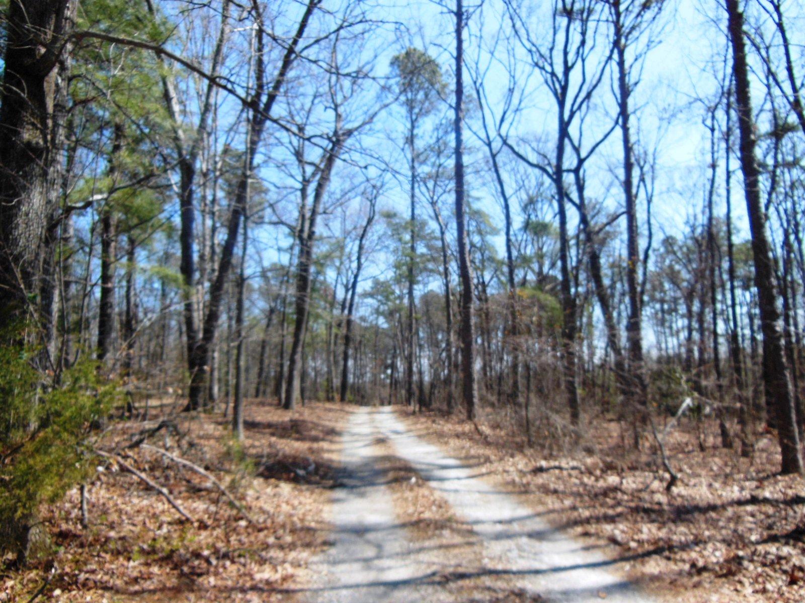 369 Shady Ln, Toccoa, GA 30577 photo 2