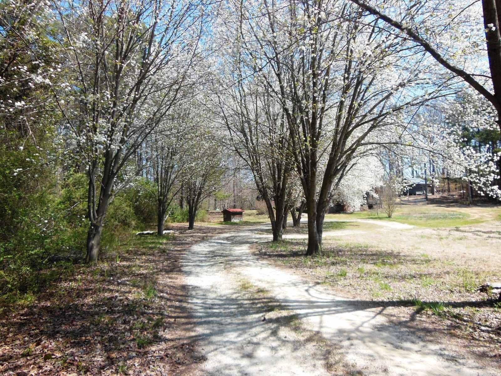 369 Shady Ln, Toccoa, GA 30577 photo 5