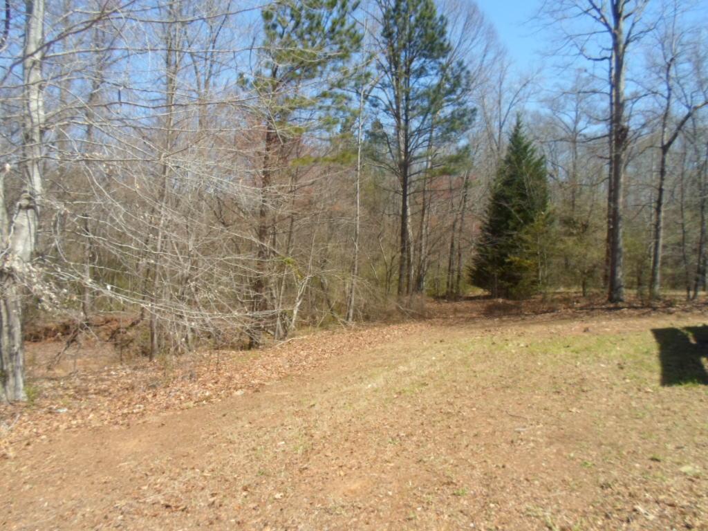 280 Fairview Chase, Covington, GA 30016 photo 7