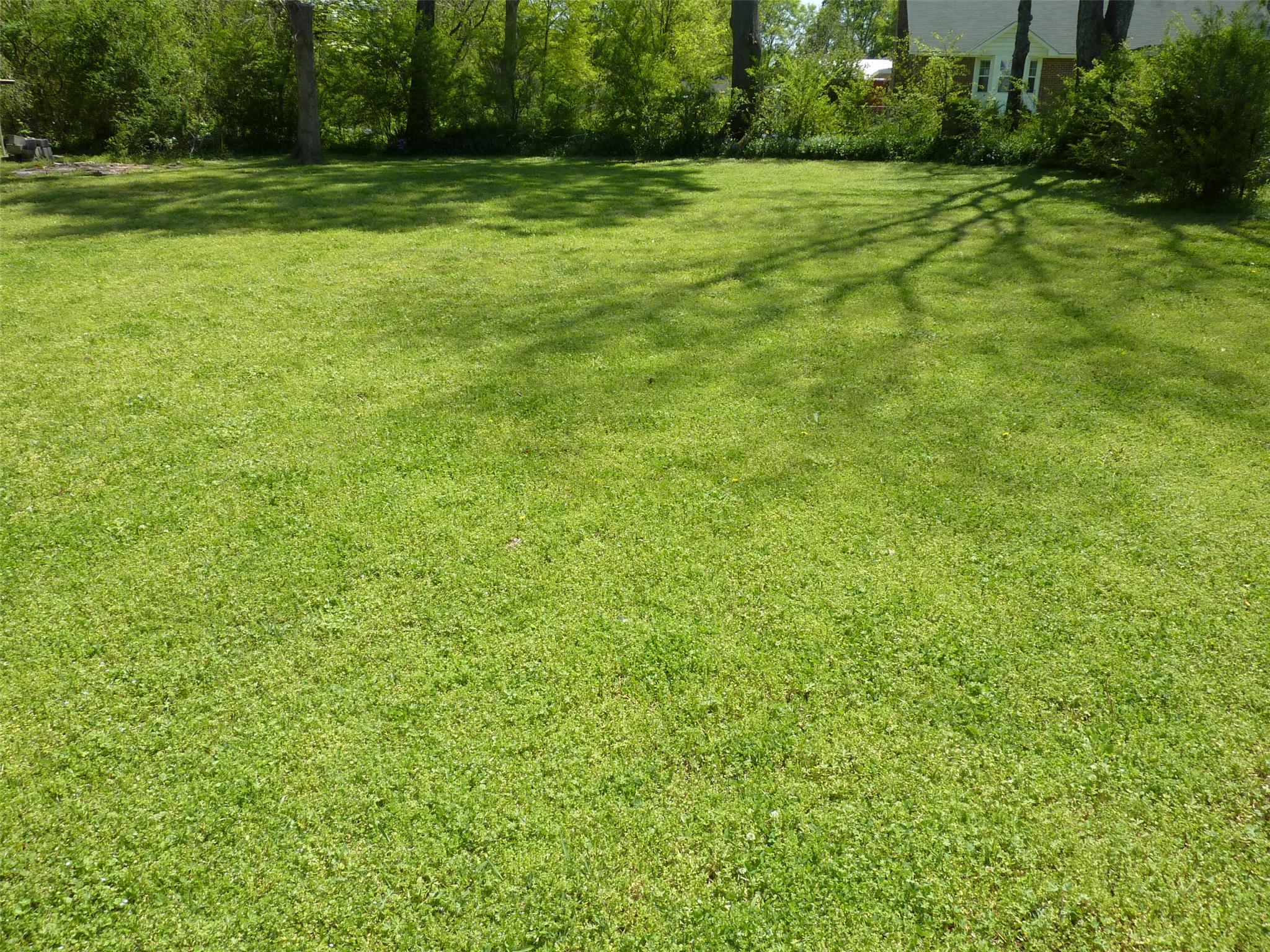 7 Love St, Cave Spring, GA 30124 photo 19