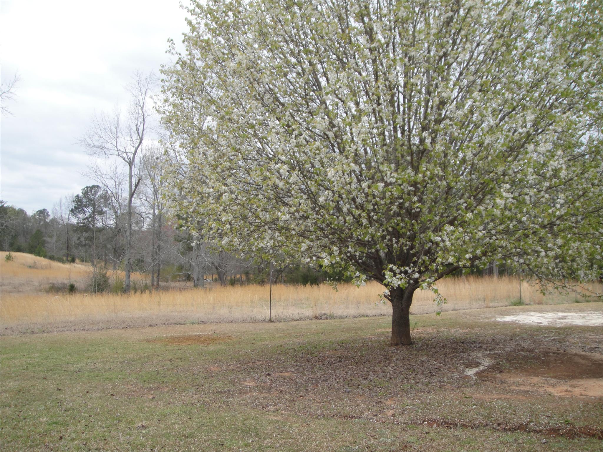 707 Cannafax Rd, Barnesville, GA 30204 photo 4