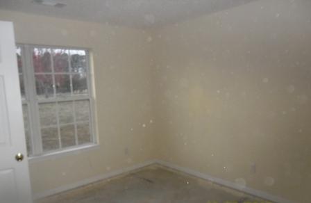 1215 Highway 3 N, Hampton, GA 30228 photo 9