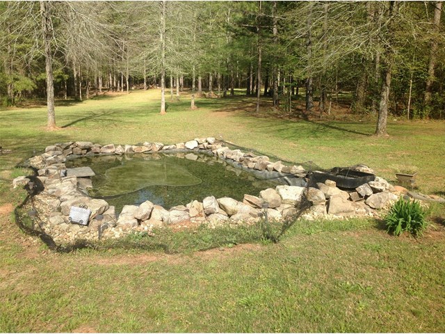 222 Jack Maddox Bridge Rd, Jackson, GA 30233 photo 11