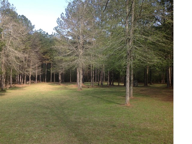 222 Jack Maddox Bridge Rd, Jackson, GA 30233 photo 5