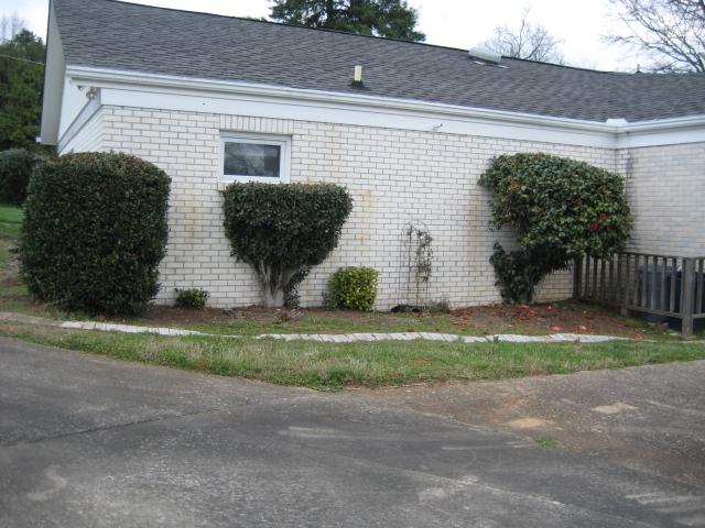 574 Grand Ave, Cornelia, GA 30531 photo 19