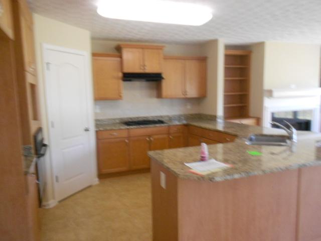 205 Glen Echo Dr, Covington, GA 30016 photo 4