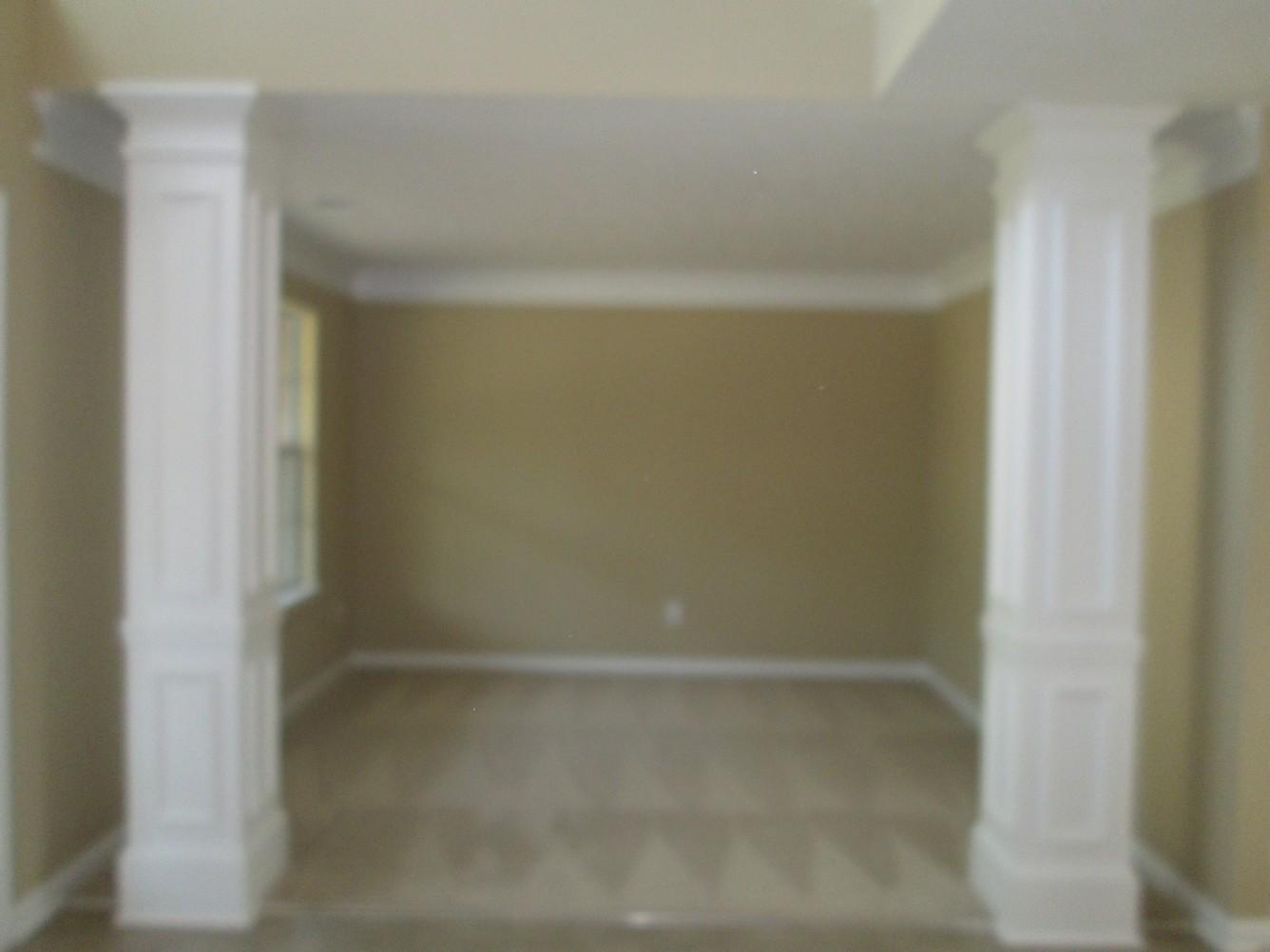 401 Pernell Dr, Hampton, GA 30228 photo 5
