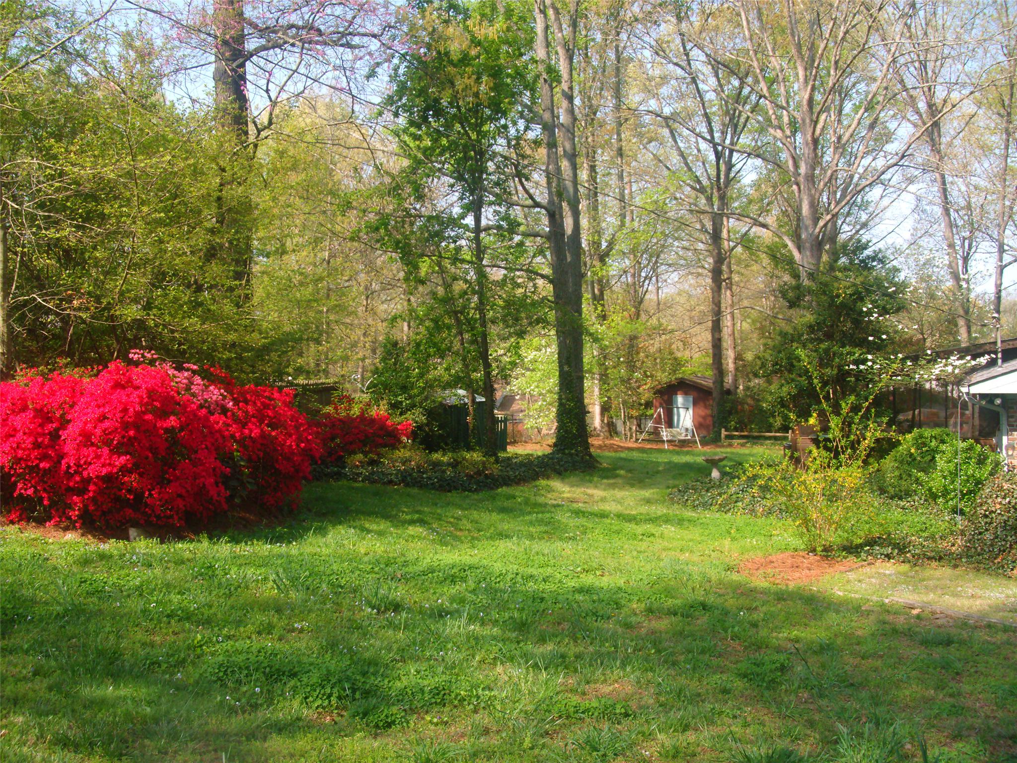 341 Valley Dr, Cornelia, GA 30531 photo 14