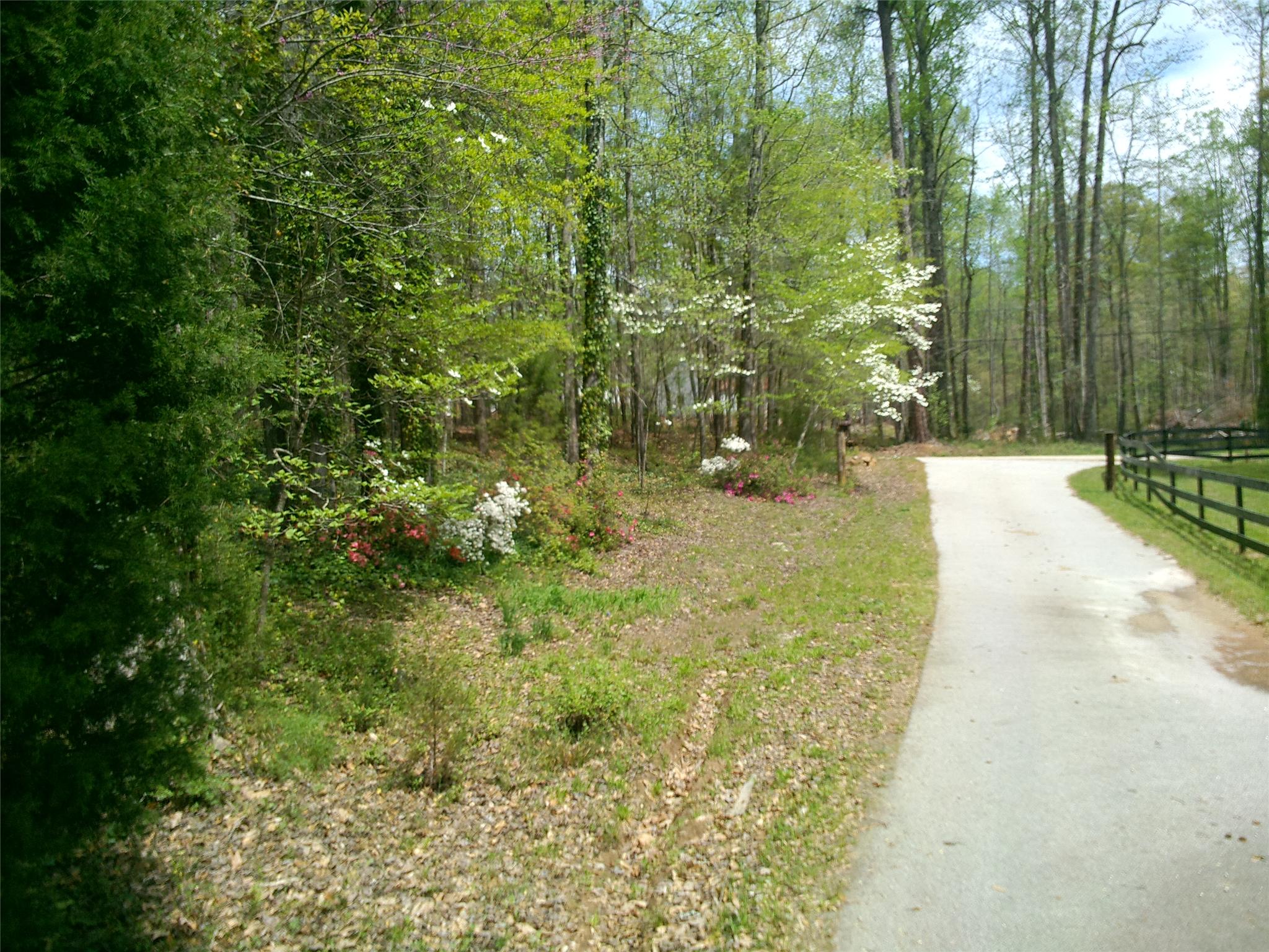 405 Rocky Creek Dr, Hampton, GA 30228 photo 2