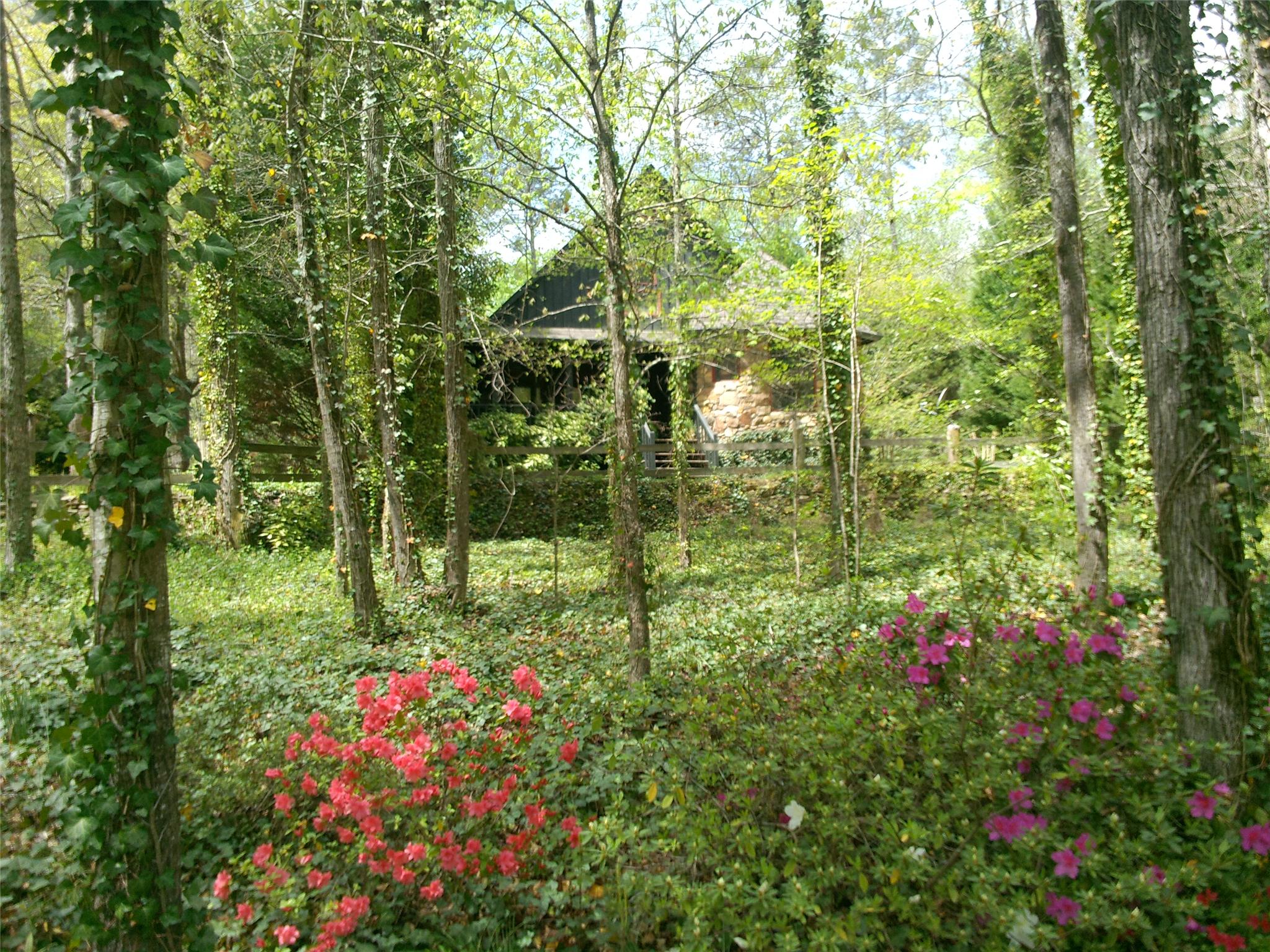405 Rocky Creek Dr, Hampton, GA 30228 photo 4