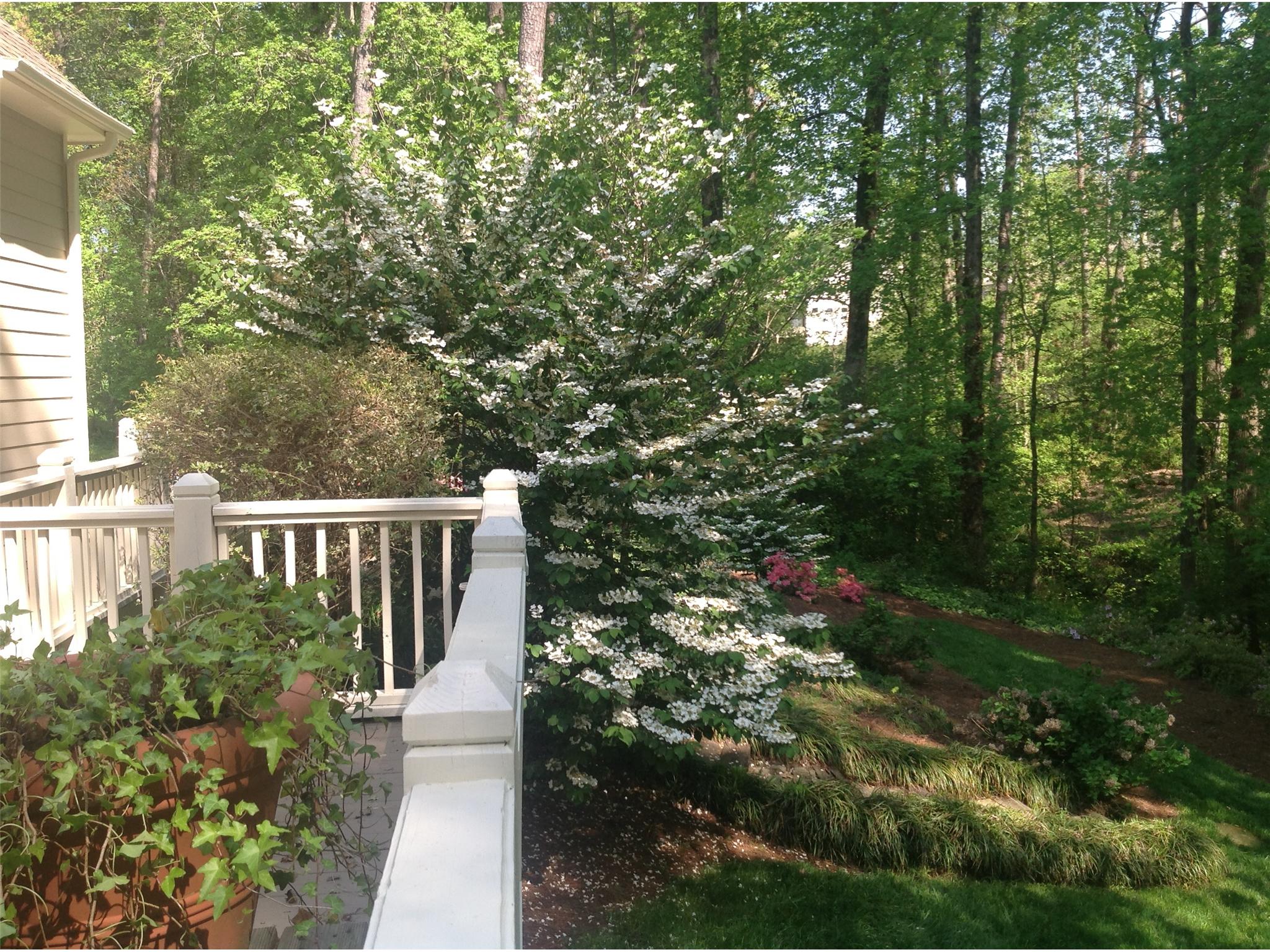 3540 Chartwell Ct, Suwanee, GA 30024 photo 16