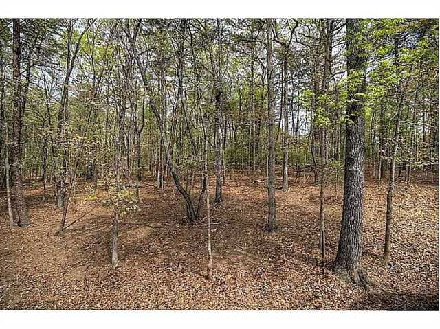 1191 Ray Mountain Rd, Jasper, GA 30143 photo 24