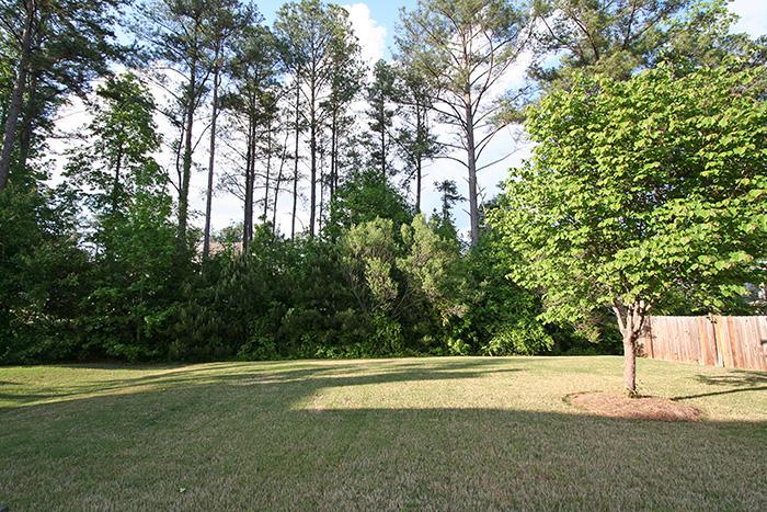 509 Wyncroft Way, Mcdonough, GA 30253 photo 25