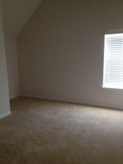 521 Hamlet Dr, Hampton, GA 30228 photo 13