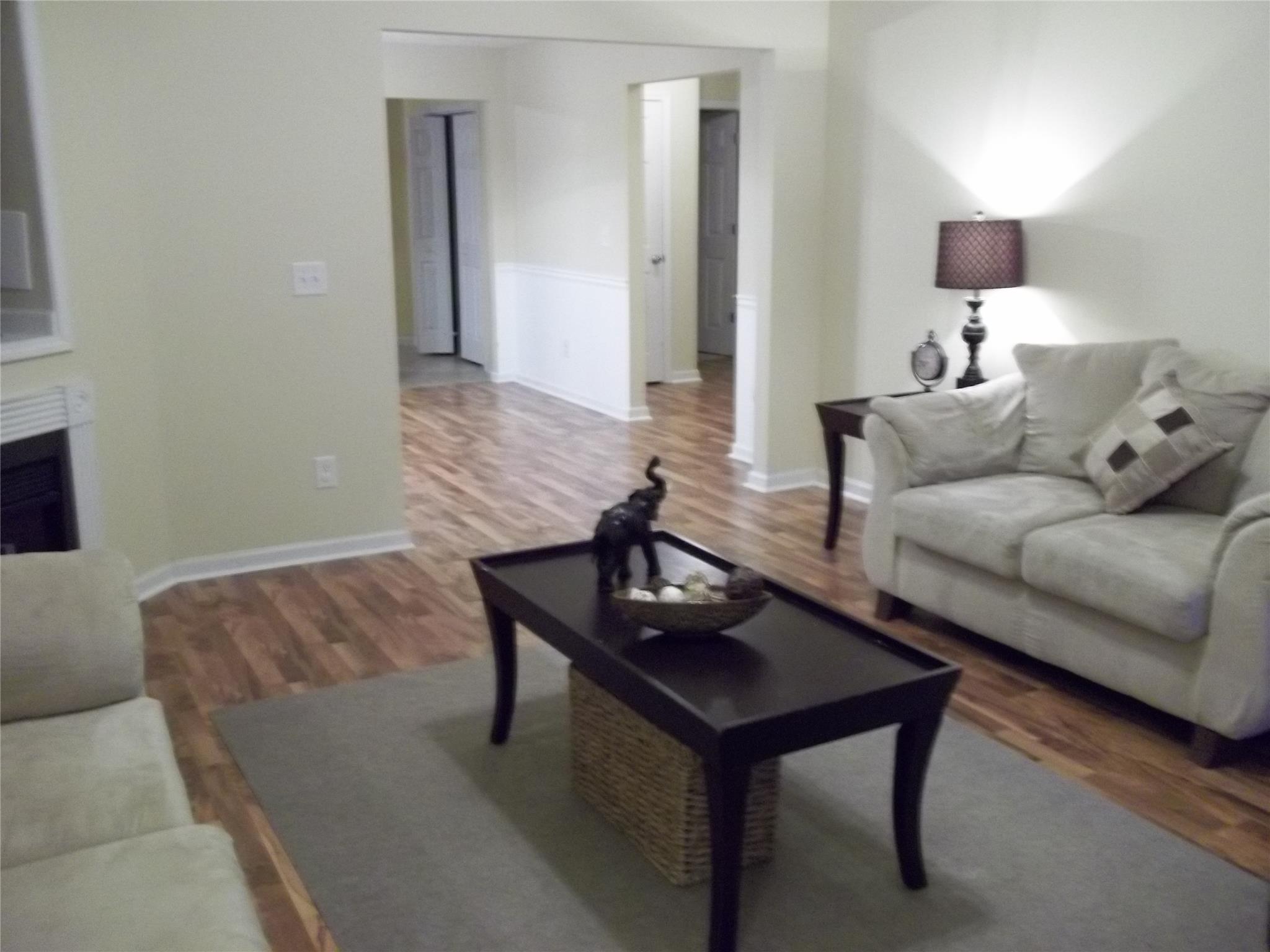 10941 Big Sky Dr, Hampton, GA 30228 photo 3