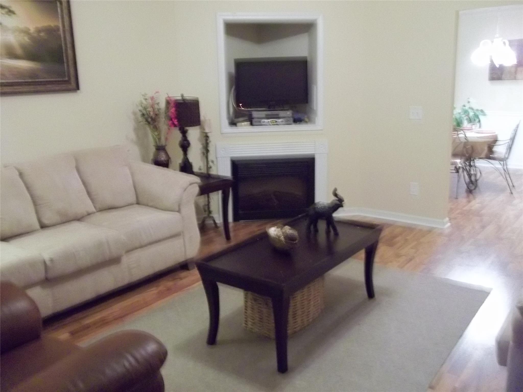 10941 Big Sky Dr, Hampton, GA 30228 photo 2