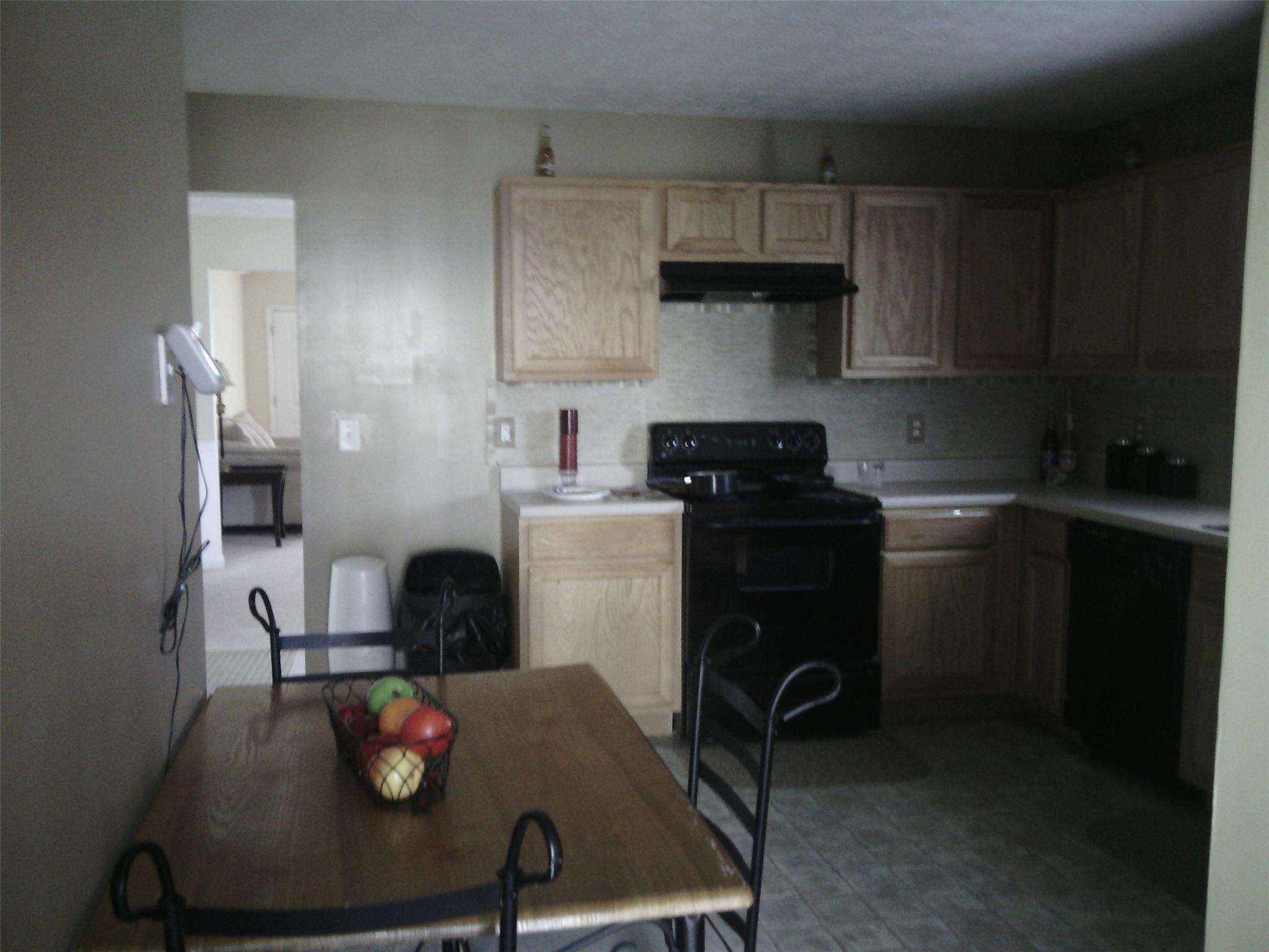 10941 Big Sky Dr, Hampton, GA 30228 photo 6