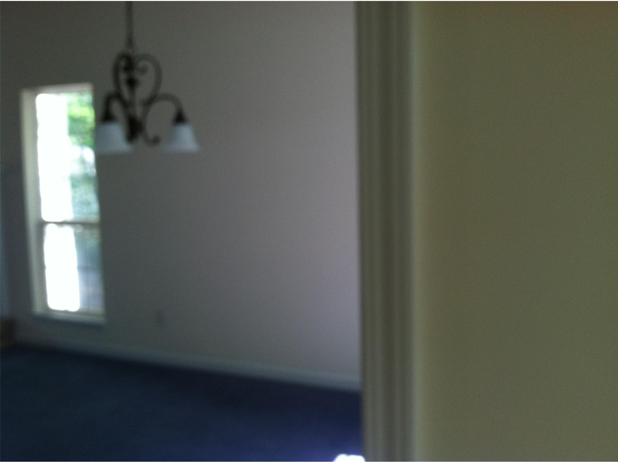 375 Amy Blvd, Temple, GA 30179 photo 5