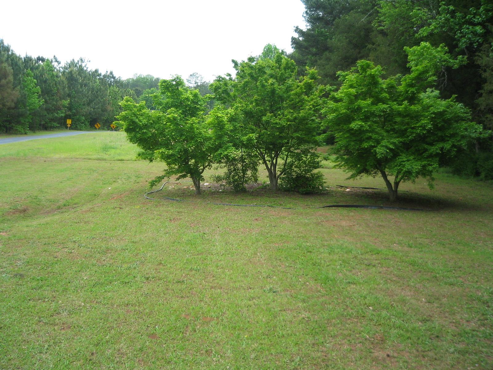 386 Jack Neely Rd, Covington, GA 30016 photo 6