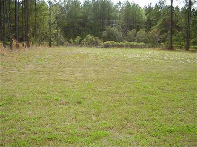 202 Boulder Ct, Rincon, GA 31326 photo 1