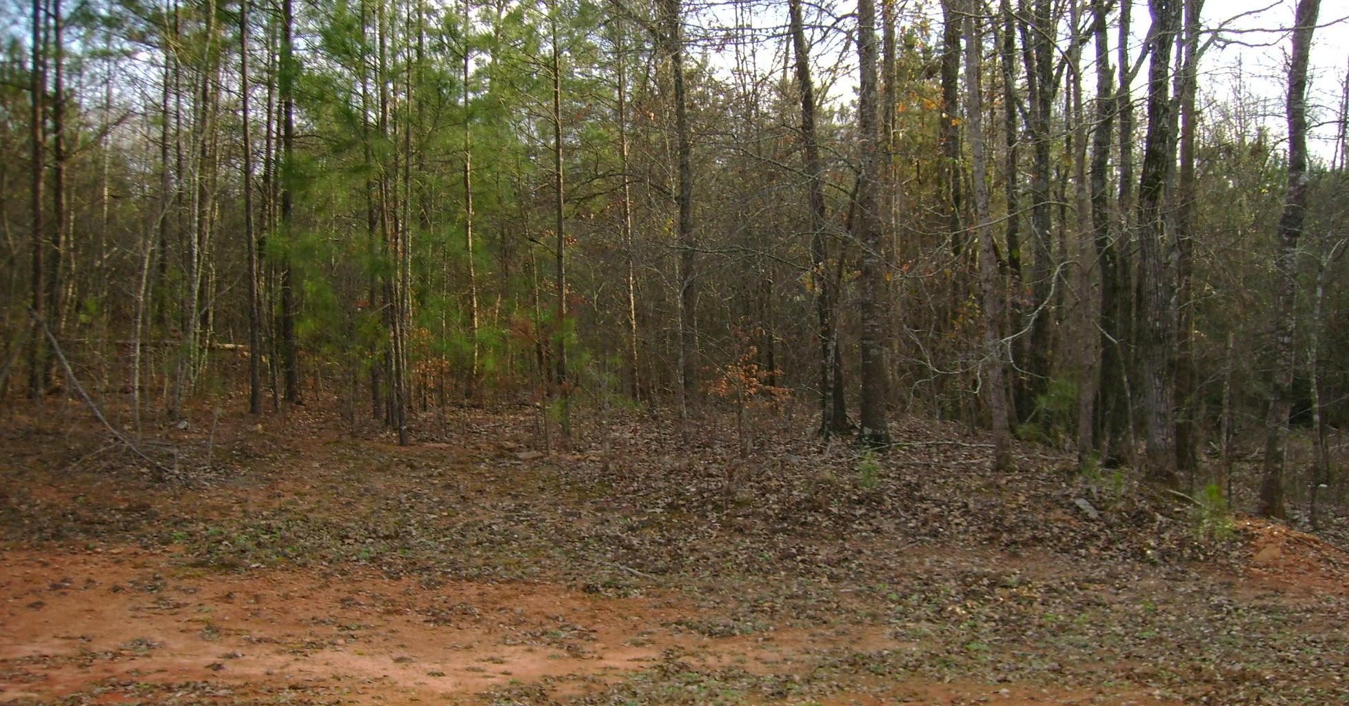 126 Red Oak Dr, Barnesville, GA 30204 photo 17