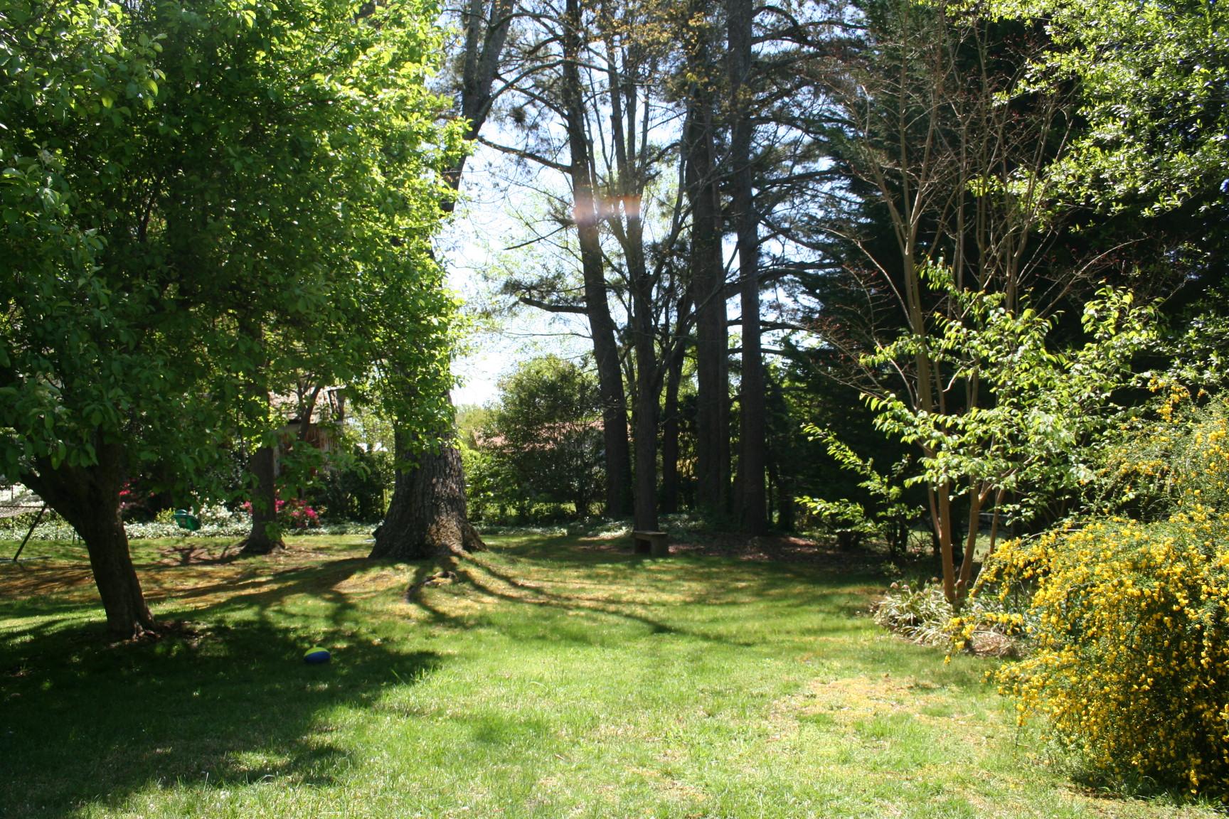 419 Yonah St, Cornelia, GA 30531 photo 20