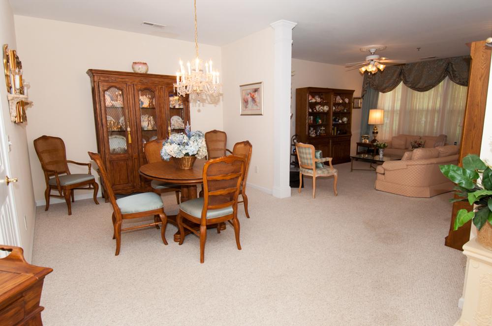 226 Riverstone Pl, Canton, GA 30114 photo 14