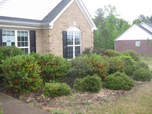 1130 Roberta Dr, Bishop, GA 30621 photo 4