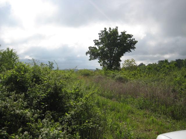 2298 Five Points Rd, Waco, GA 30182 photo 8