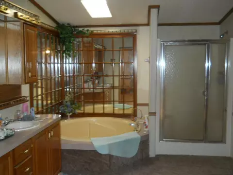 1285 County Road 452, Lanett, AL 36863 photo 4