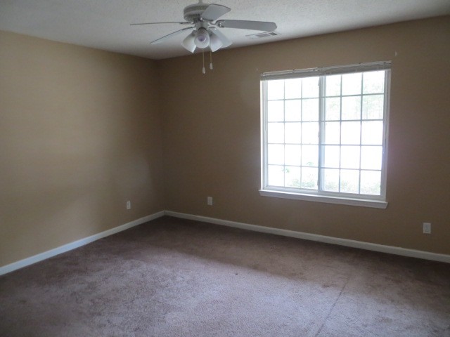 147 Crest Pt, Bremen, GA 30110 photo 7