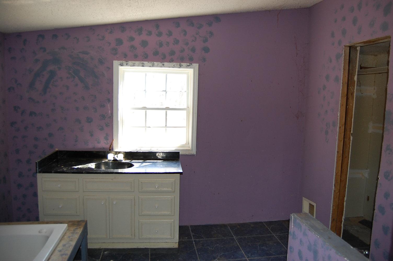 620 Wildcat Rd, Buchanan, GA 30113 photo 8