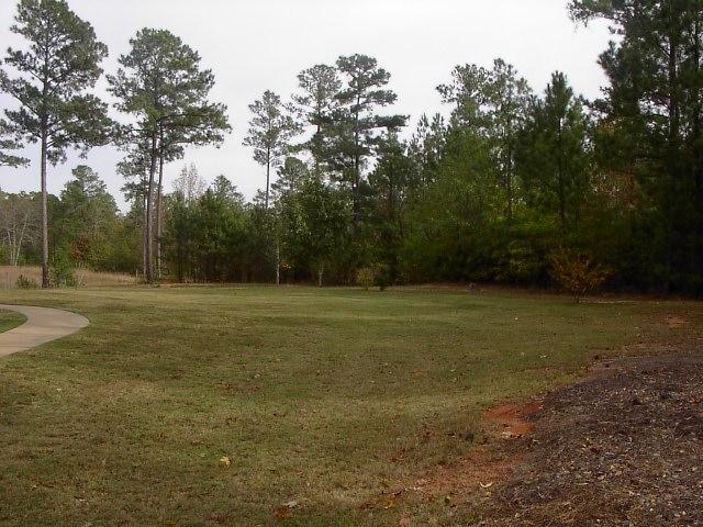 725 Thrash Rd, Lagrange, GA 30241 photo 3