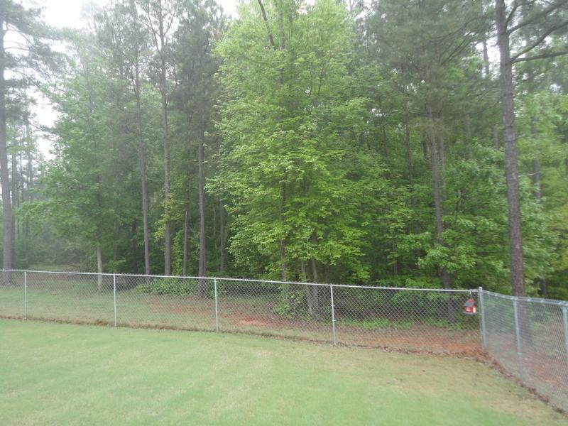 8860 E Carroll Rd, Winston, GA 30187 photo 6