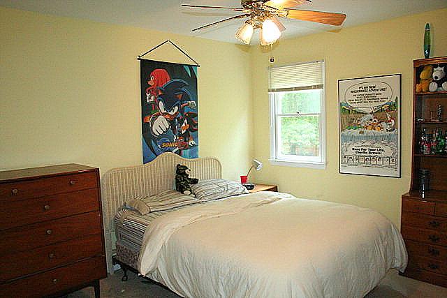 175 Emerald Dr, Athens, GA 30605 photo 12