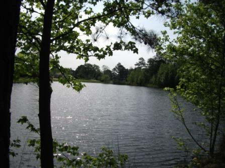 93 Moccasin Gap Rd, Jackson, GA 30233 photo 10
