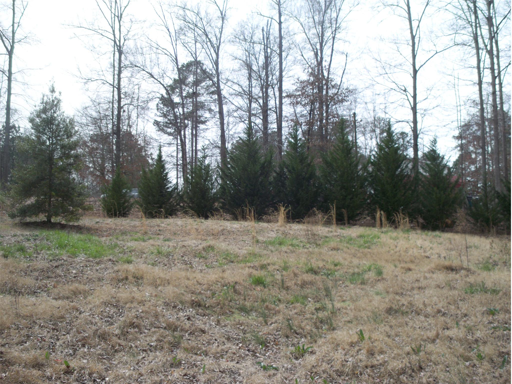 736 Walnut Dr, Monroe, GA 30655 photo 5