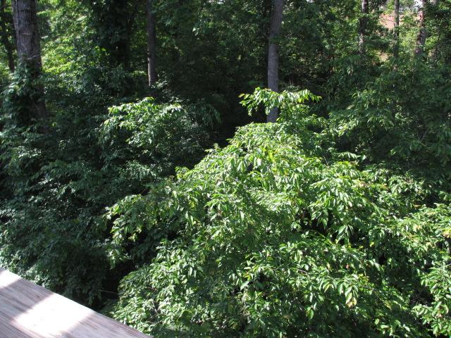615 Hammersmith Dr, Suwanee, GA 30024 photo 19
