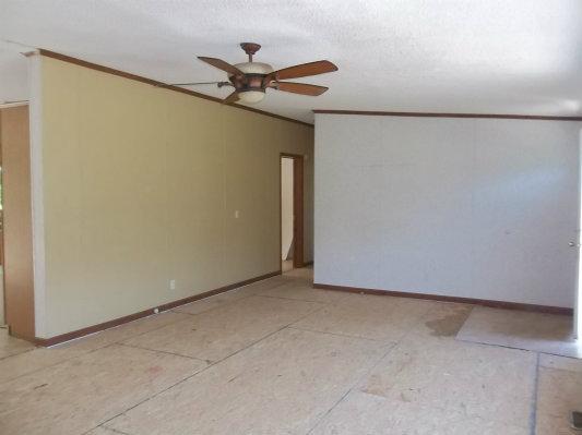 307 Piece Rd, Pelham, GA 31779 photo 2