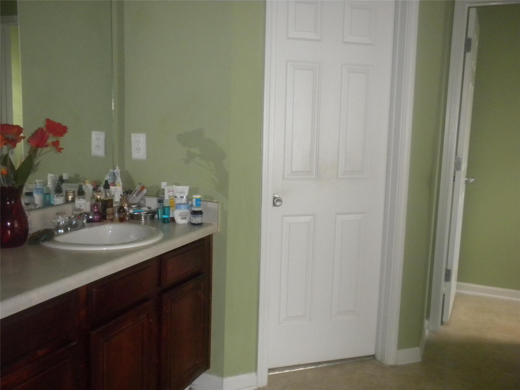 406 Pernell Dr, Hampton, GA 30228 photo 11