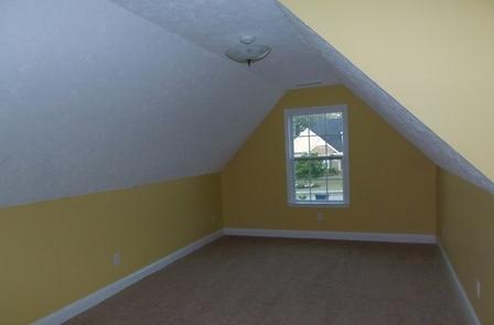 270 Bridgemill Ln, Hampton, GA 30228 photo 12