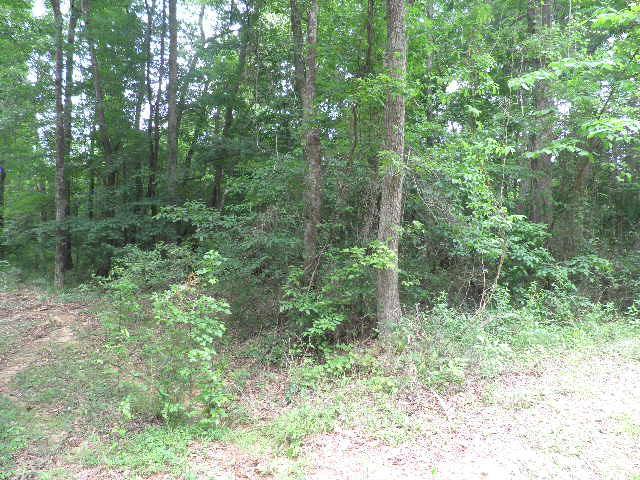 741 Ethridge Rd, Haddock, GA 31032 photo 3