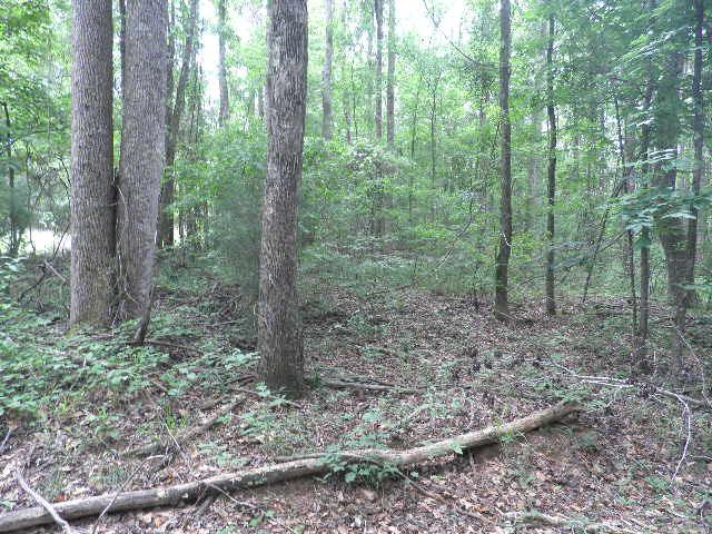 741 Ethridge Rd, Haddock, GA 31032 photo 6