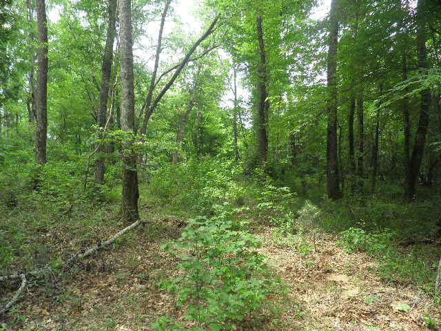 741 Ethridge Rd, Haddock, GA 31032 photo 2