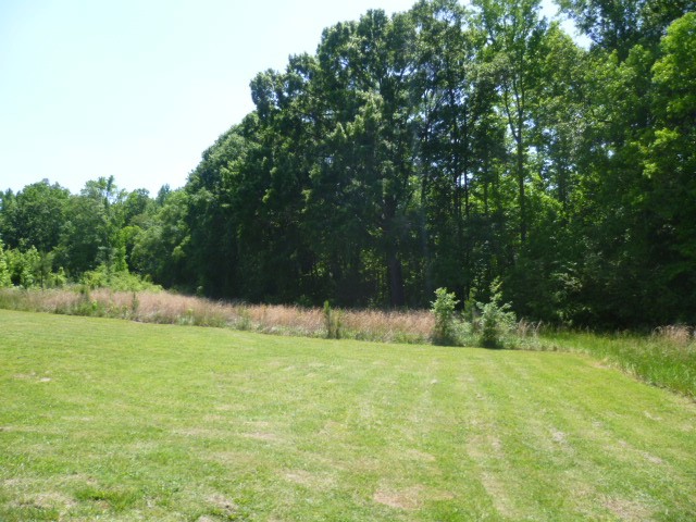 560 Bryson Trl, Monroe, GA 30655 photo 3