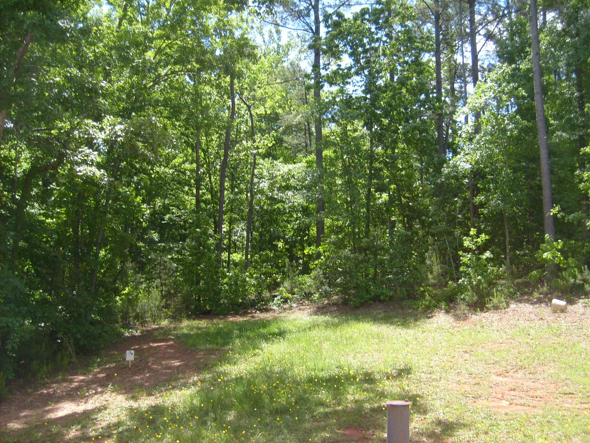 3960 Maple Crest Ct, Winston, GA 30187 photo 7