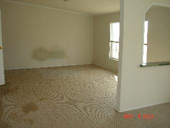 839 Youngs Mill Rd, Americus, GA 31709 photo 5