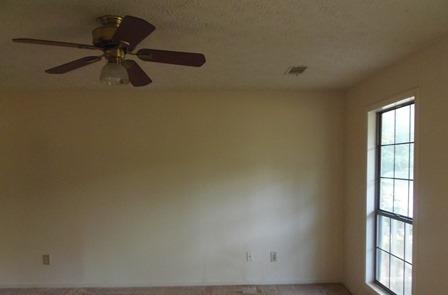 11627 Matthews Trl, Hampton, GA 30228 photo 5