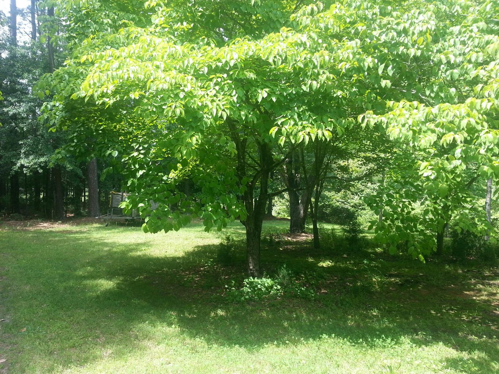 920 Harrison Mill Rd, Winder, GA 30680 photo 2
